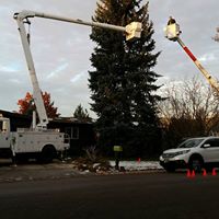 Street Light maintenance